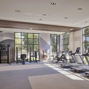 The Highgate - Livingston 6